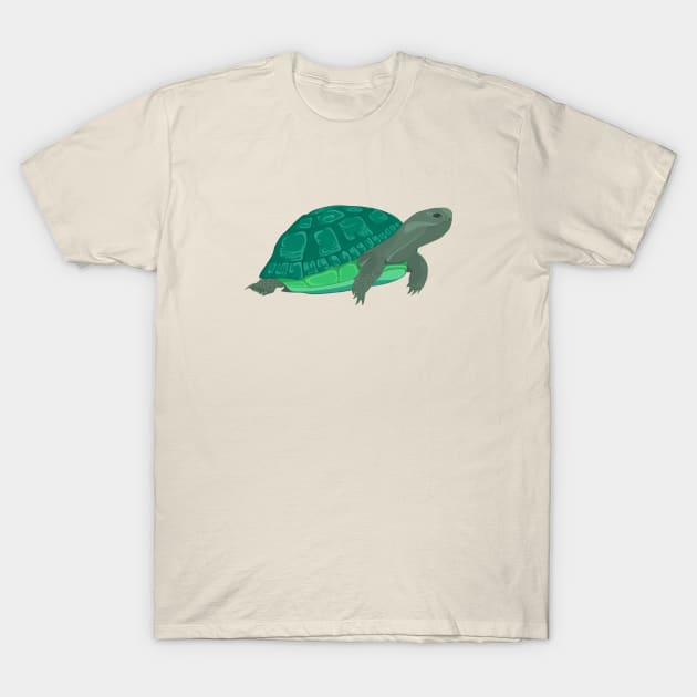 turtle T-Shirt by Ahader